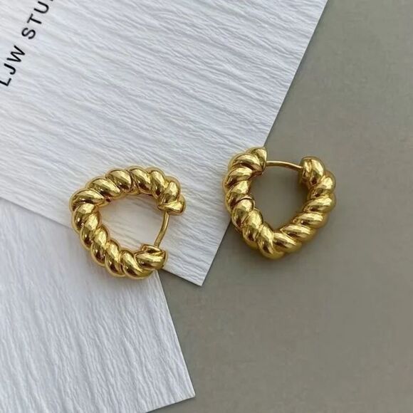 Anthropologie Jewelry - Hoop Earrings N1586